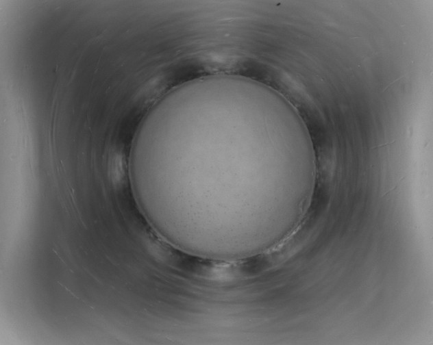 X0000112140130200908071103