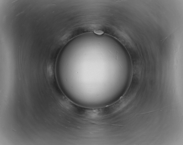 X0000112140131200908071103