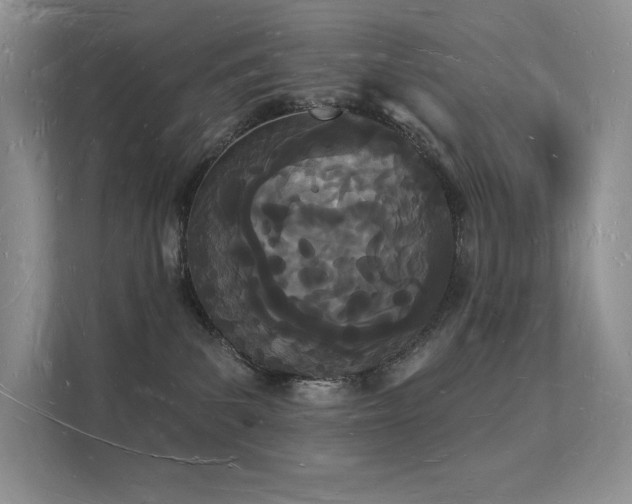 X0000112140139200908071103