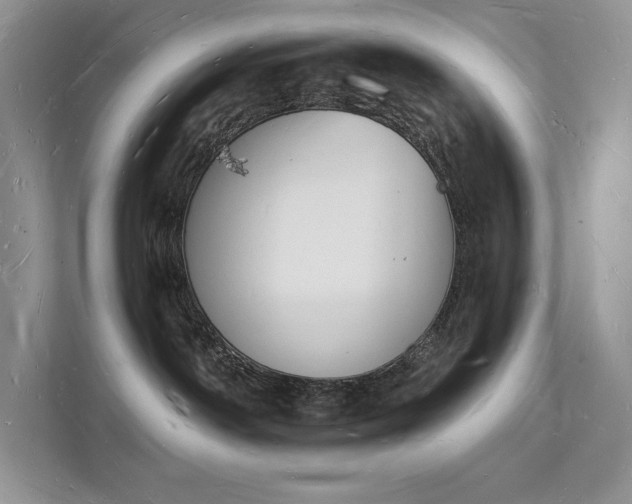 X0000112140142200908071103