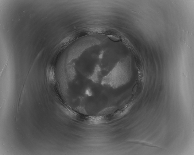 X0000112140143200908071103