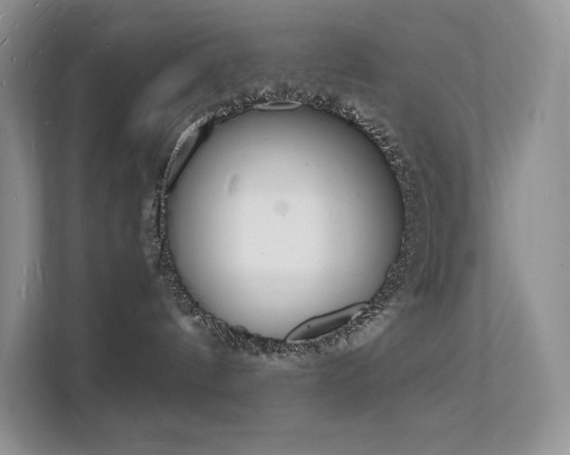 X0000112140144200908071103