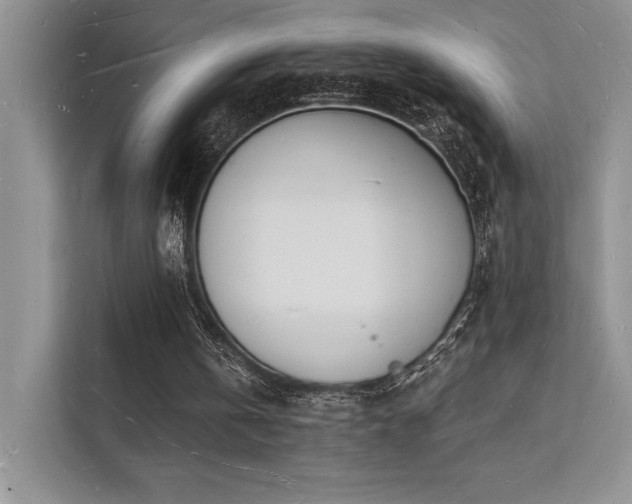X0000112140146200908071103