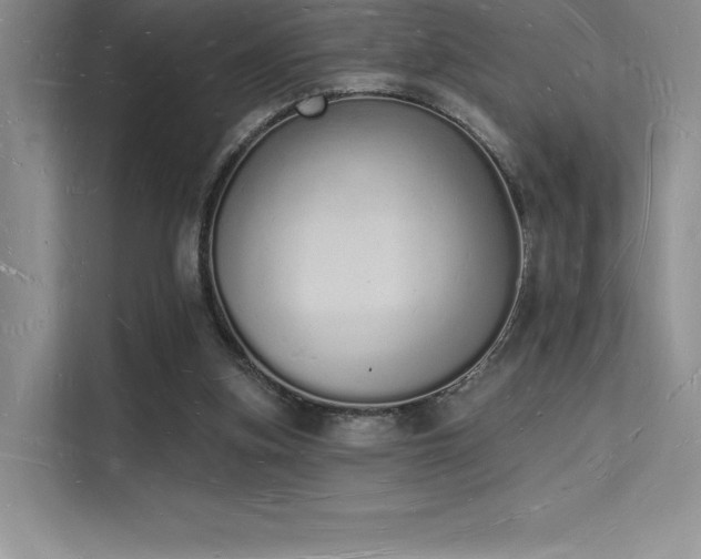 X0000112140155200908071103