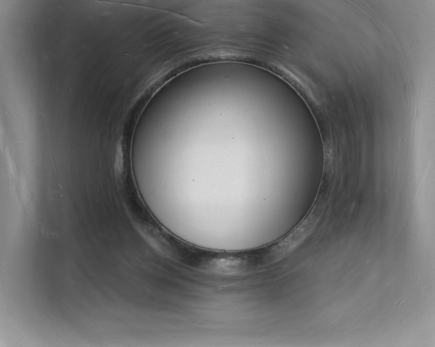 X0000112140158200908071103
