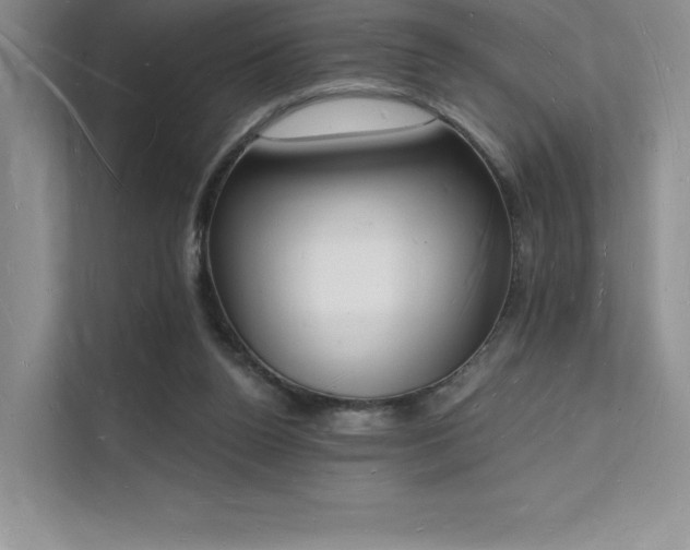 X0000112140160200908071103