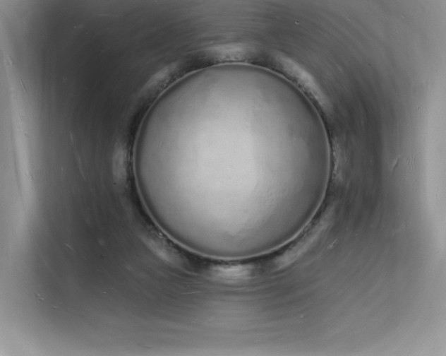 X0000112140161200908071103