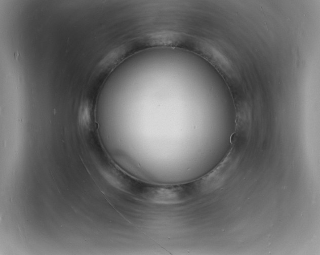 X0000112140166200908071103