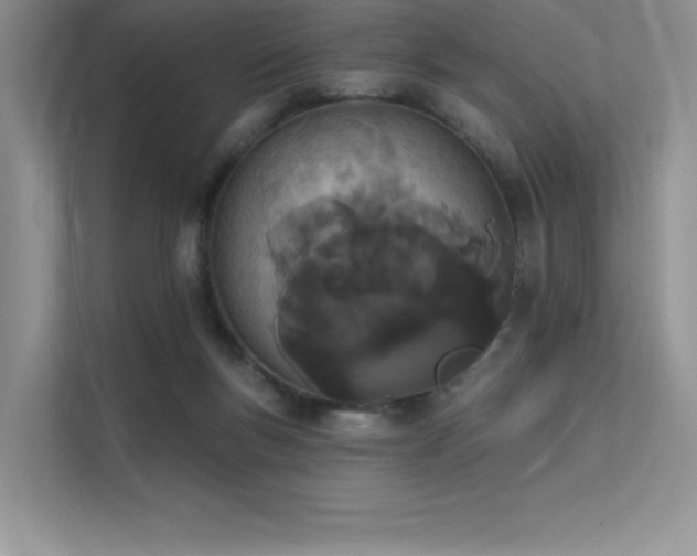 X0000112140167200908071103