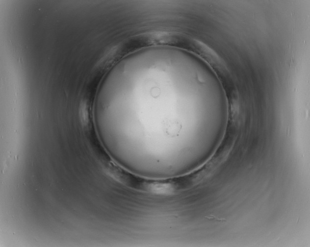 X0000112140169200908071103