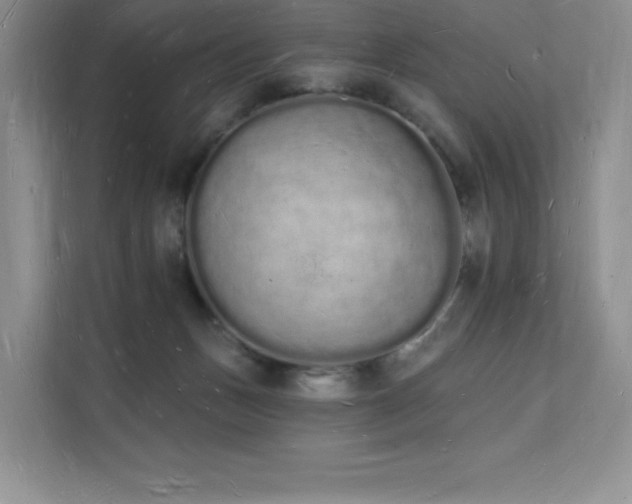X0000112140175200908071103