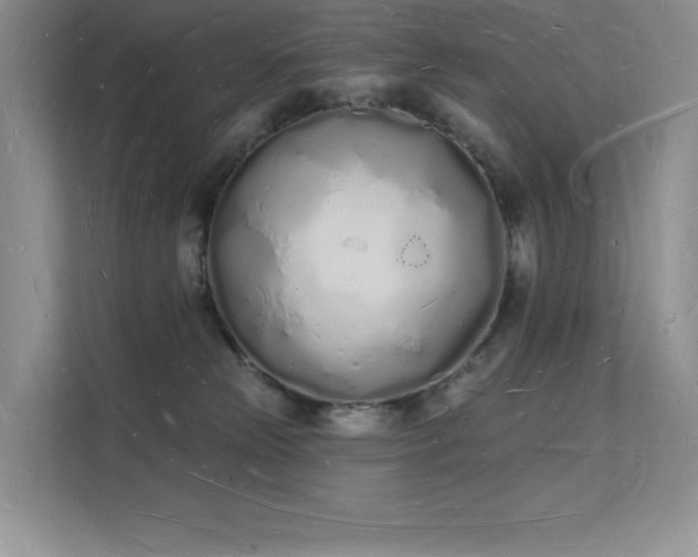 X0000112140181200908071103