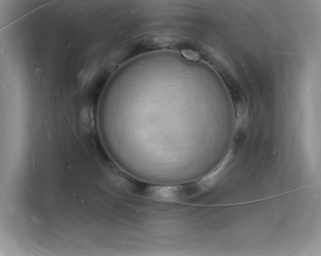 X0000112140182200908071103