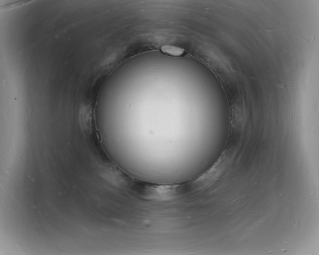 X0000112140184200908071103