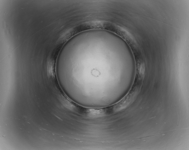 X0000112140185200908071103