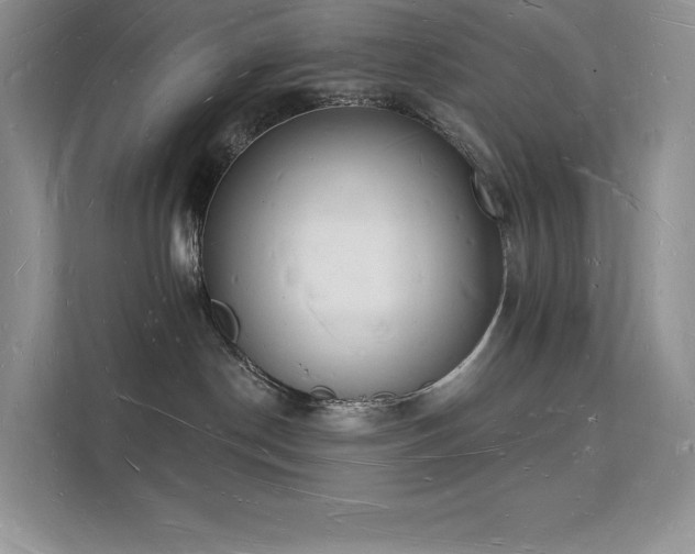 X0000112140190200908071103