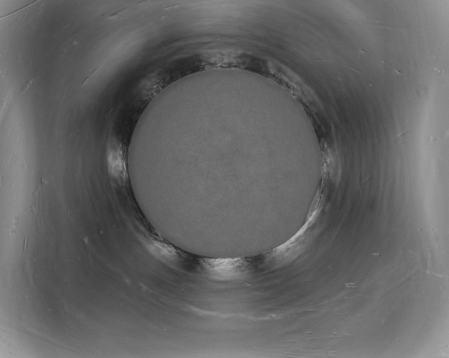 X0000112140191200908071103