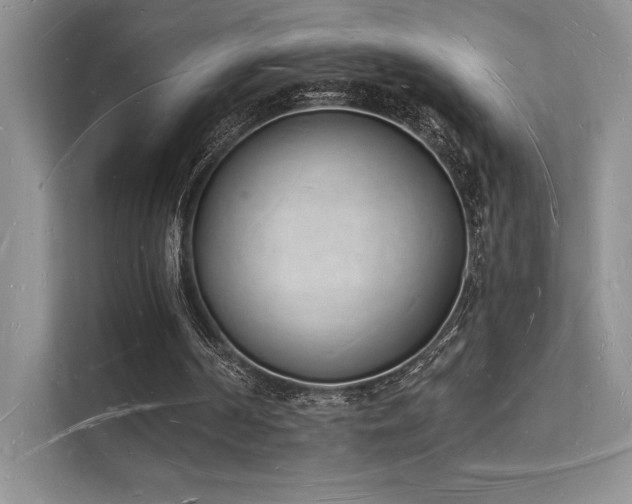 X0000112140194200908071103