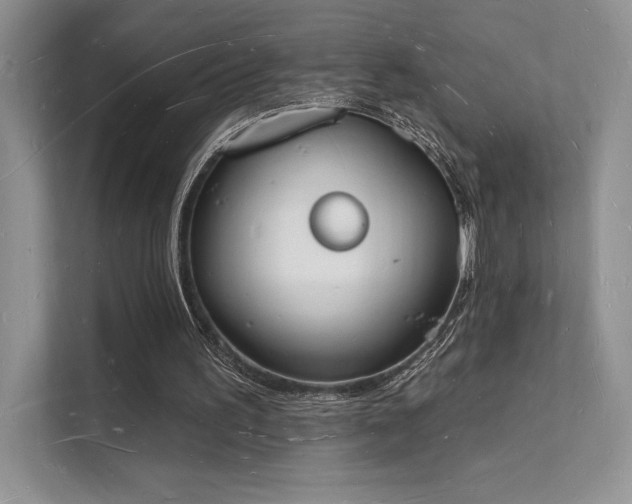 X0000112140195200908071103