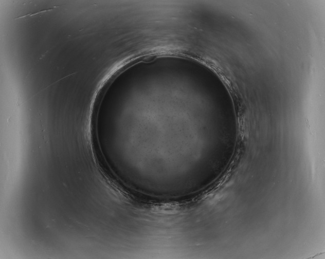 X0000112140196200908071103