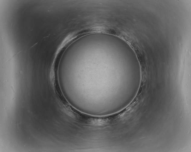X0000112140198200908071102