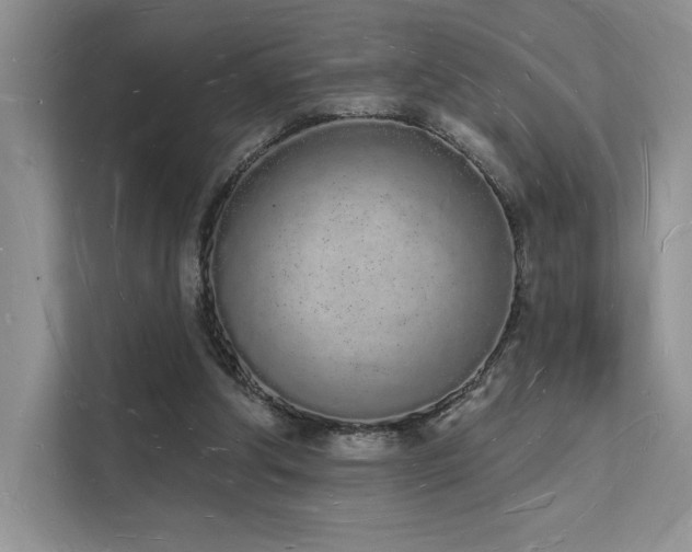X0000112140202200908071102