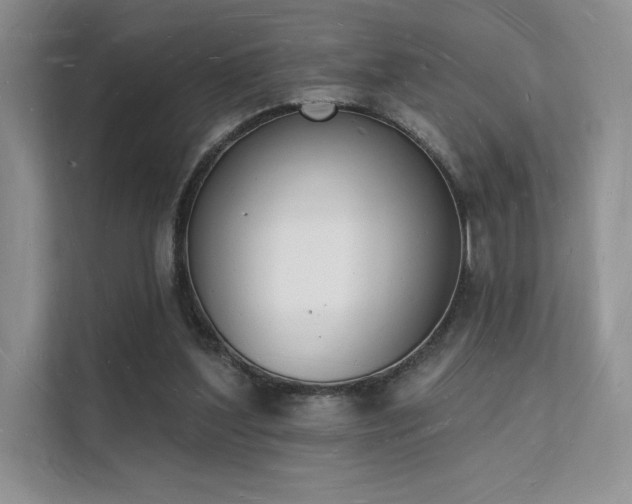 X0000112140204200908071102