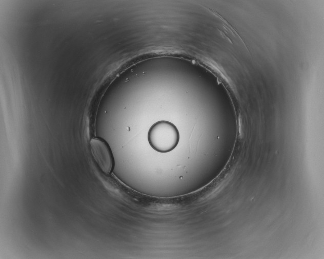X0000112140205200908071102