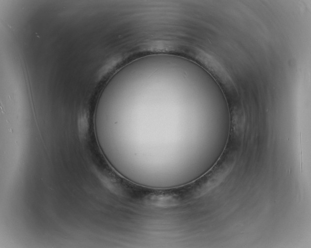 X0000112140208200908071102