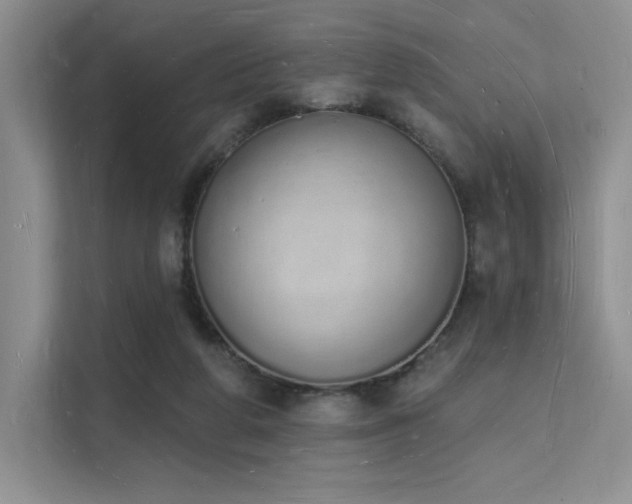 X0000112140210200908071102
