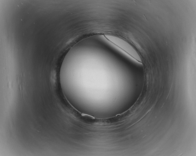 X0000112140211200908071102