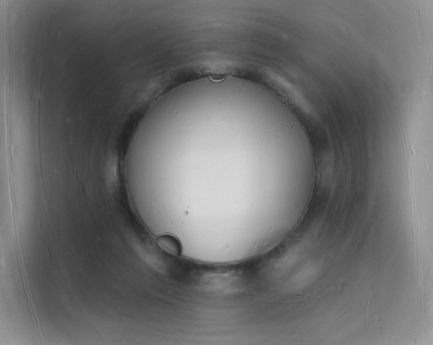 X0000112140213200908071102