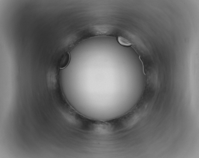 X0000112140215200908071102