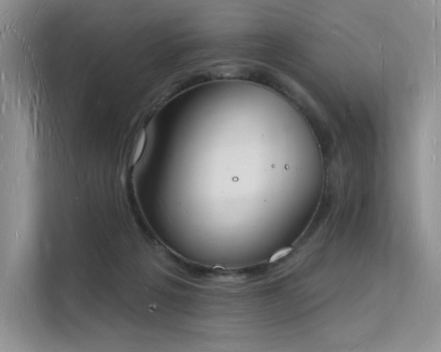 X0000112140217200908071102