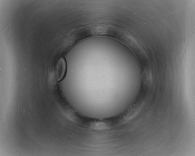 X0000112140224200908071102