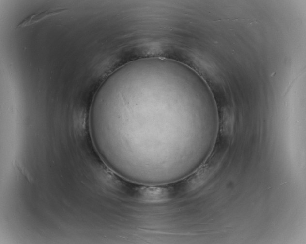 X0000112140230200908071102