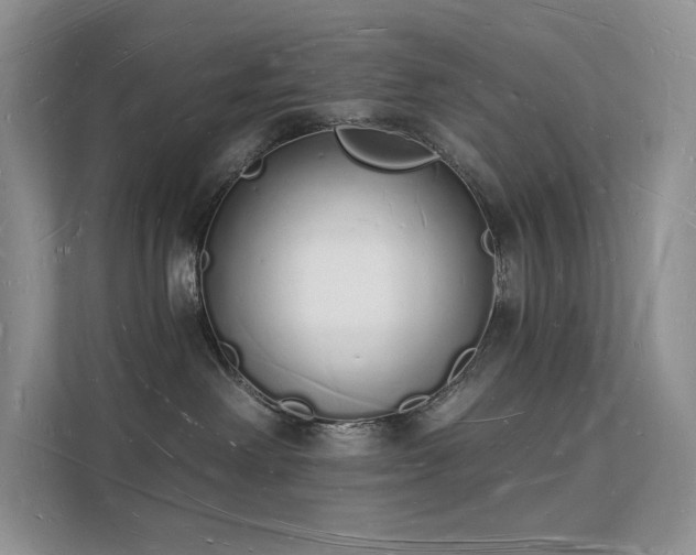 X0000112140238200908071102