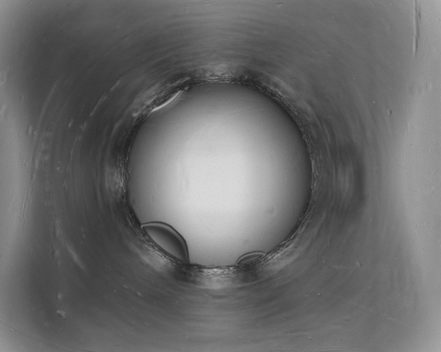 X0000112140240200908071102