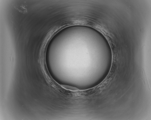 X0000112140241200908071101