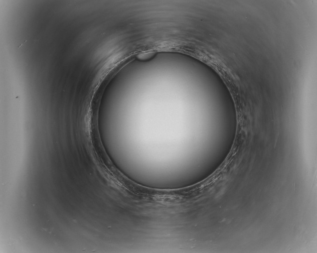 X0000112140242200908071101