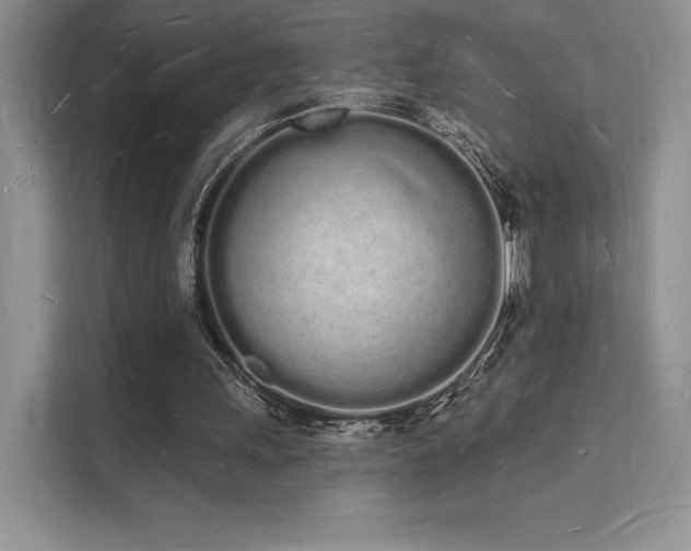 X0000112140243200908071101
