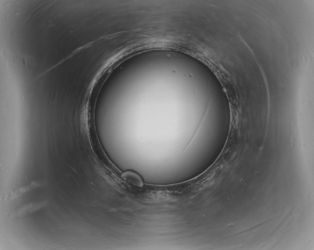 X0000112140244200908071101