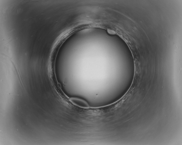 X0000112140245200908071101