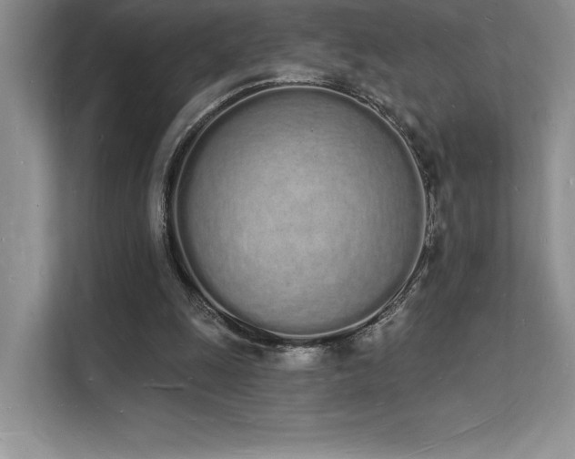 X0000112140247200908071101