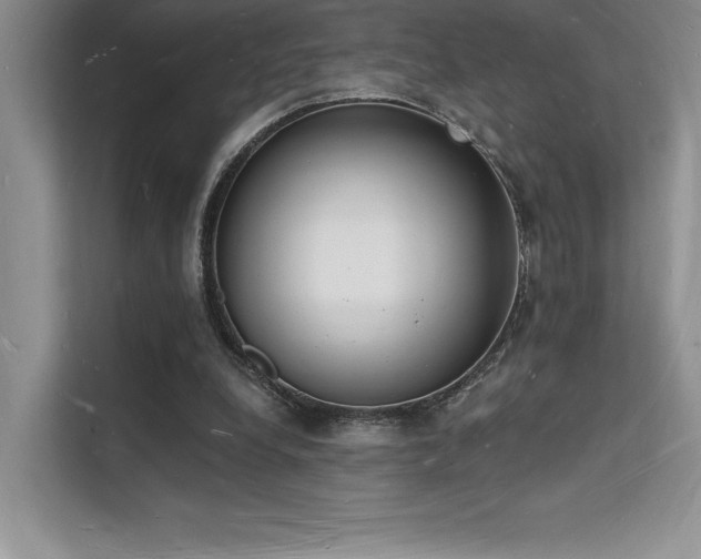 X0000112140248200908071101