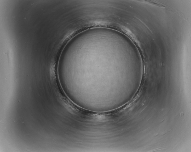 X0000112140249200908071101