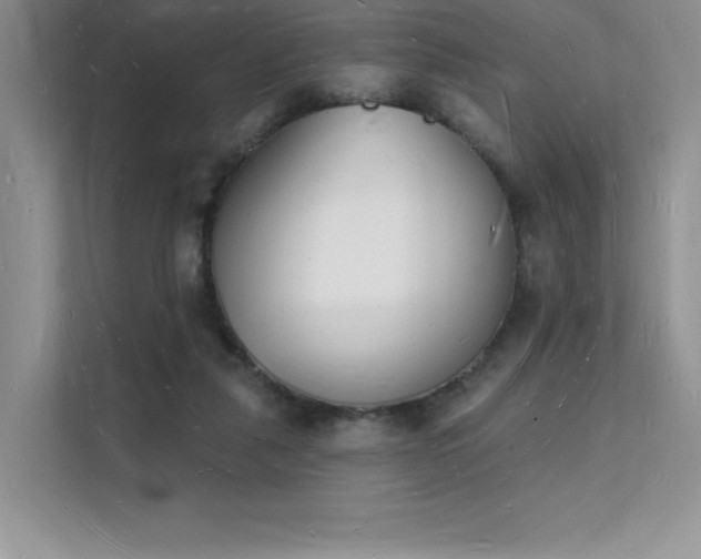 X0000112140259200908071101