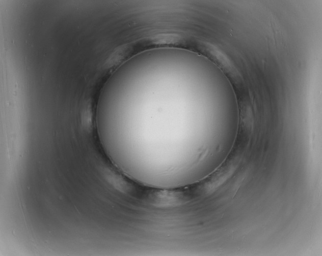 X0000112140261200908071101