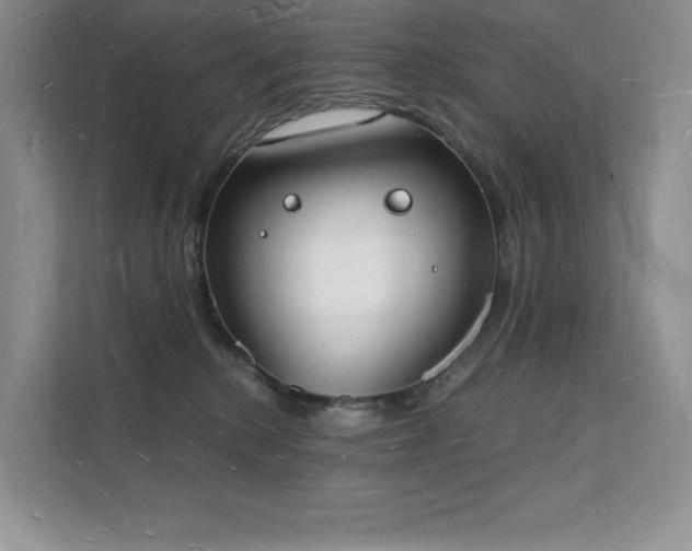 X0000112140280200908071102