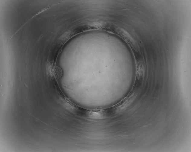 X0000112140285200908071102